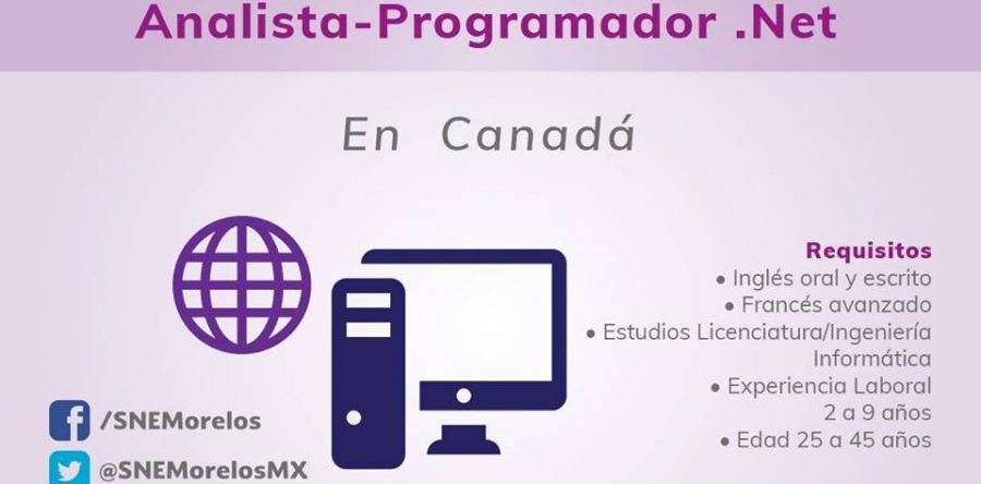 Vacante Como Analista Programador Net En Canada